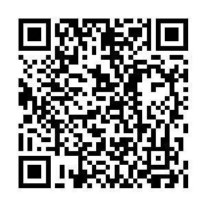 而且附近有高大的树木能减轻一下风的破坏程度二维码生成