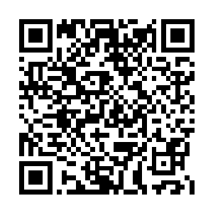 而且除了老鼠以外整个队伍的人都在给他让人头二维码生成