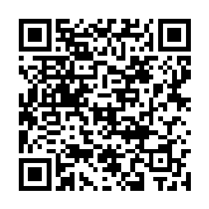 而且雷爆珠之所以被称为修士压箱底的必备之物外二维码生成