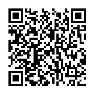 而且非凡集团还秘密部署了对红河集团的反击之战二维码生成