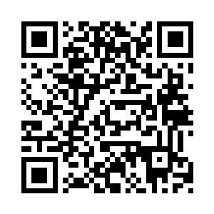 而且首映式红地毯的应援也需要我们过去组织二维码生成