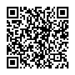 而且龙傲天也发现这几个禁制是整个卧室中仅有的三个禁制二维码生成