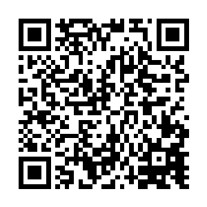 而且龙傲天还发现九玄玲珑宝塔中依旧还有恐怖的能量二维码生成