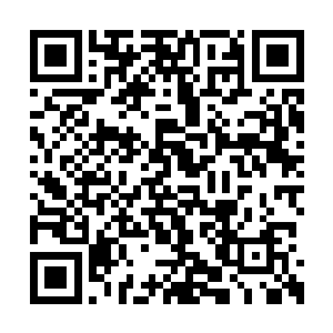 而世界线的收束又有着力求改变最小的基本规则二维码生成