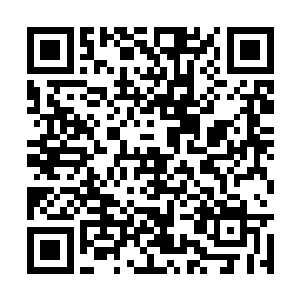 而东南半岛就是人为因素多于地形因素的混乱之地二维码生成