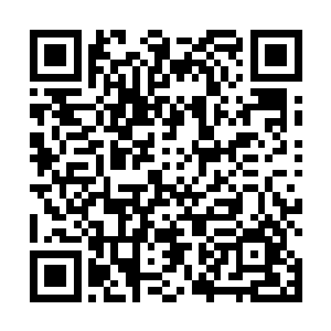 而东大陆全部陆地面积就近乎整个地球的陆地面积总和二维码生成