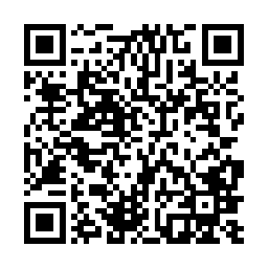 而两个鱼眼却正分别是日族和月族族长祭出了两颗珠子二维码生成