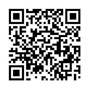 而两只彩羽鸟儿似乎对此地熟门熟路一般二维码生成