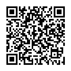 而严默也没有特意在前山村巫面前表示出自己神使的身份二维码生成
