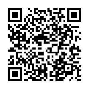 而中心地带则用一圈足有两丈多高的红色厚墙围了起来二维码生成