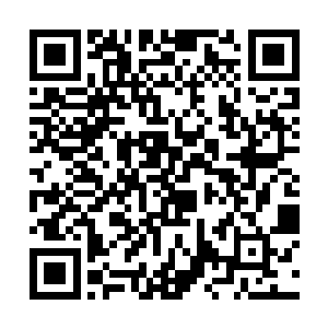 而中间的那血炼刀此时也是变成了一团赤红色的液体二维码生成