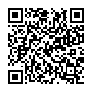 而临安公主并不想就这么嫁给一个寻常的纨绔子弟二维码生成