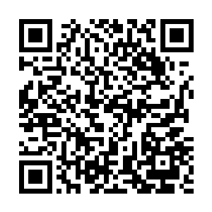而临海市高层就选定在了这一片背靠蓝天大海的海弯别墅区二维码生成