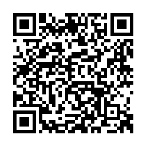 而为了惩罚你浪费了我如此宝贵的时间和计算力二维码生成