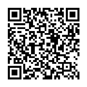 而为了能够尽可能的消耗这雷虎和雷鸟体内蕴含的强大力量二维码生成