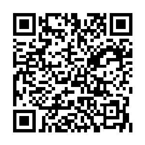 而丽雅昨天放飞的那只魔雕信使也已从窗外飞回二维码生成