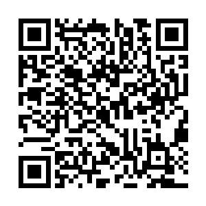 而举报乘万里踪迹的修士可以得到一千亿极品仙晶二维码生成