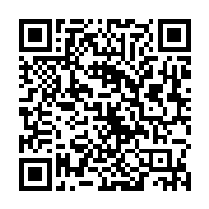 而之前林封谨遇到的那一名隐藏在吞蛇军当中的妖命者二维码生成