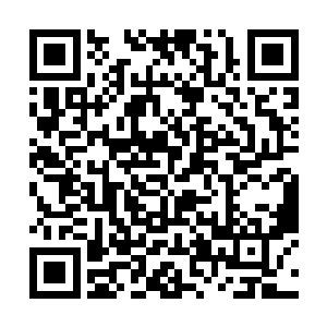 而之所以留下魔族男爵百分之十的地之脉轮没有吸收二维码生成