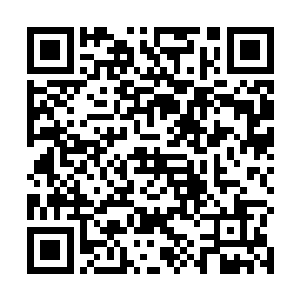 而之所以选择偷袭小松鼠完全是怕小松鼠使用瞬移逃走二维码生成