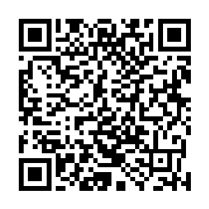 而也许某一个具体问题就会成为压垮骆驼的最后一袋稻草二维码生成