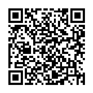 而二货对于银鳞金冠蛇的前景预期却是给了叶笑另一层意外二维码生成