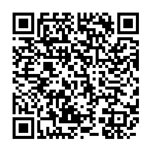 而仅有的几门修仙法门也都是从一本名为天书的修炼心得上转化而来的二维码生成
