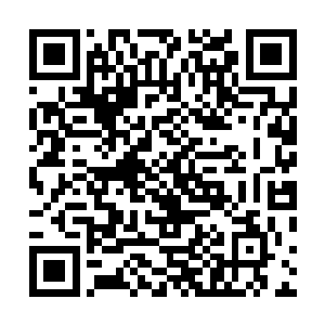 而今天他只需要将太阳殿花园中的那个小水池周边的落叶二维码生成