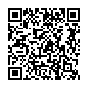 而今还想强行从吴岩身上剥夺回那颗鸿蒙释厄丹二维码生成