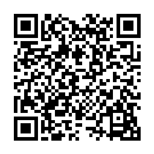 而仍然生存在极地的部分堪塔斯也离开了严寒的出生地二维码生成