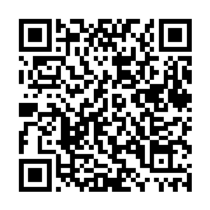 而从后面那批载有一杆长枪的马背上的包裹形状来看二维码生成