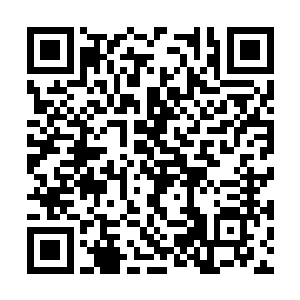 而从果香味中能得到的种种感悟自然是越来越深刻二维码生成