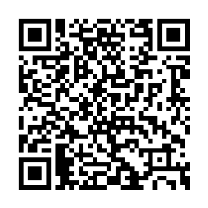 而从白云市跟随赵小晴来京城的只有几个人而已二维码生成