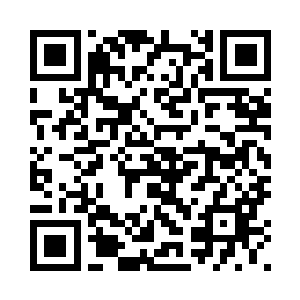 而他不过是森林中一只小小的蚂蚁二维码生成