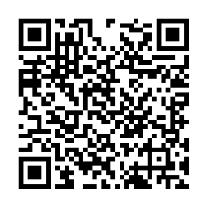 而他与其他白角高层想要严默带走一批精英的初衷二维码生成