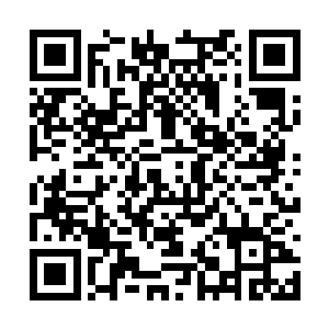 而他与李虎的关系也根本不会有人联想到他是主导二维码生成