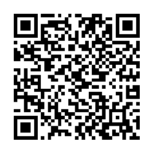 而他也不由得对也是一脸不善怒目而视自己的莫紫嫣二维码生成