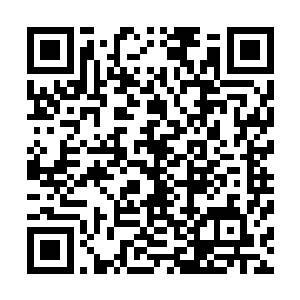 而他们接下来要做的就是回去问下一下小龙的和做一些准备二维码生成