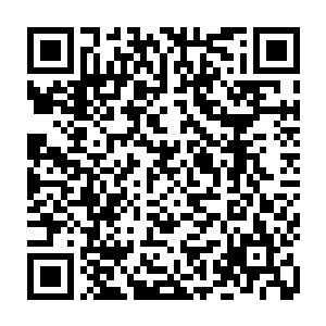 而他们是高高在上的存在…甚至还想让整个世界都围绕着延续他们的寿元二维码生成