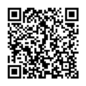 而他们的两个孩子也大叫着说与默爹的魂力联系像是被阻断二维码生成
