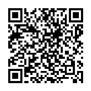 而他们身后的那个恐怖的怪兽见状顿时也是怒吼一声二维码生成