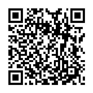 而他们还有足够的时间去继续追踪修罗家族的人二维码生成