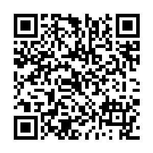 而他们这些眼睁睁看着大巫儿子被食人蜂袭击的人二维码生成