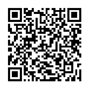 而他们都得适应家里突然少了一个成员的这种失落二维码生成