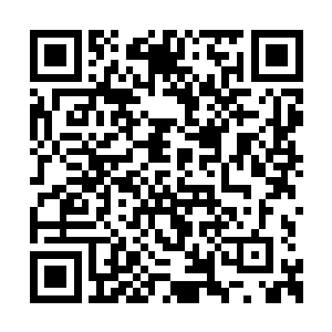 而他作为一个出身华夏电视台的综艺节目主持人二维码生成