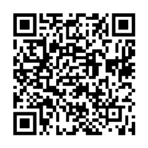 而他便恰到好处的出现成了和沈鹰一起去救人的那个人二维码生成