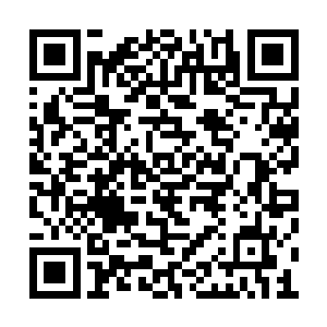 而他则再次踏上了前往普特利岛研发基地的专机二维码生成