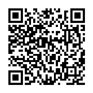 而他则领剩下的人马朝着城门方向继续发起突杀二维码生成