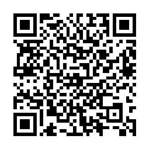 而他刚刚用来拿住那个布囊的左手也已经其肘而断二维码生成