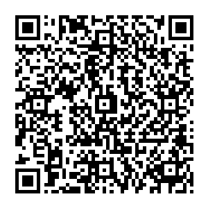 而他却花费了数年的时间才最终确定了他就是东雍国被江氏父子篡位夺权的司空氏二皇子司空贽二维码生成